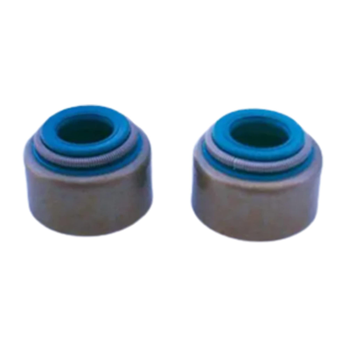Engine Valve Stem Seal 2 Pack